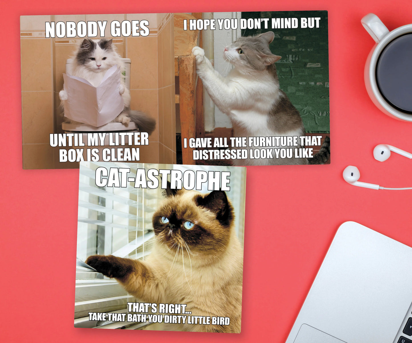 Cat-Astrophe