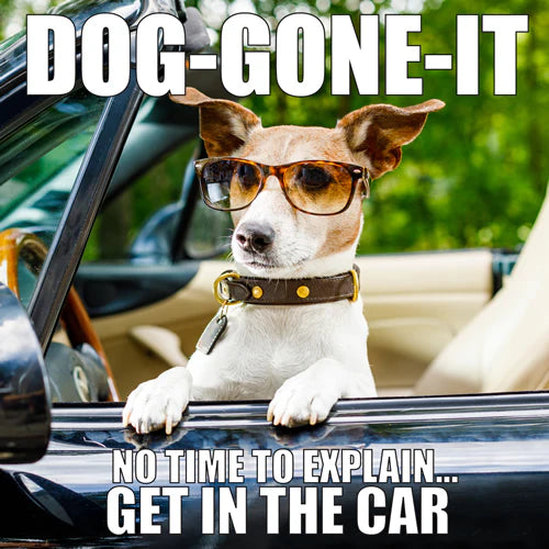 Dog-Gone-It