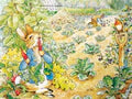 Peter Rabbits Garden Snack